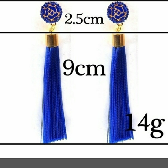 Black Long Tassel Earrings - Picture 3 of 3